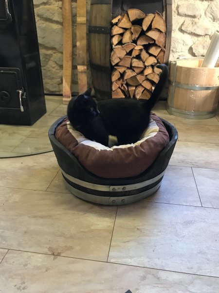 Tierliege TFL-E65 aus gebrauchtem Eichenfass für Katzen / Hunde ohne Kissen