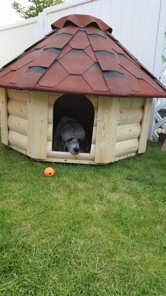 8 Eck Hundehütte Hundehaus Hundeschlafplatz Tierhaus Hundekota
