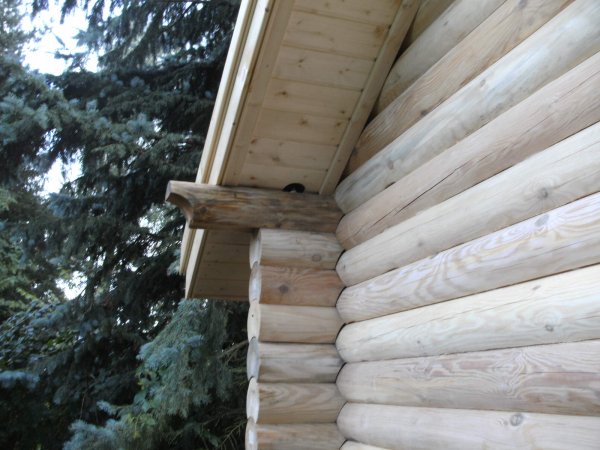 Rundbohlen Sauna RBS35x30 massive Gartensauna 3,5x3m Saunahaus Holzhaus Holzsauna massiv