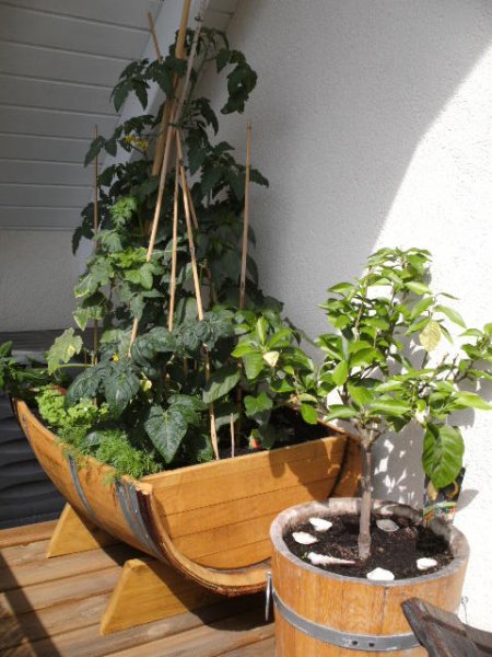 115 Liter quer Barrique - Eichenfasshälfte mit (LxBxH) 95x70x35cm als Pflanzkübel oder Hochbeet