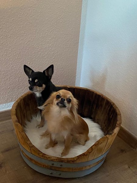 Tierliege TFL-K52 aus Fass für Katzen / Hunde ohne Kissen