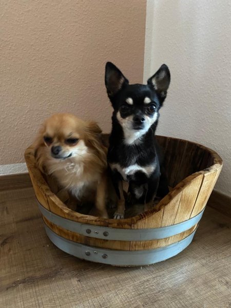 Tierliege TFL-K52 aus Fass für Katzen / Hunde ohne Kissen