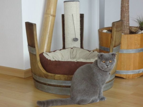 Tierliege TFL-E65-KB aus gebrauchtem Eichenfass für Katzen / Hunde ohne Kissen