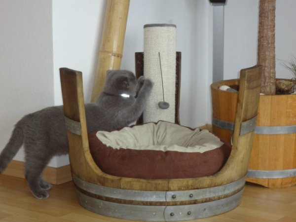 Tierliege TFL-E65-KB aus gebrauchtem Eichenfass für Katzen / Hunde ohne Kissen