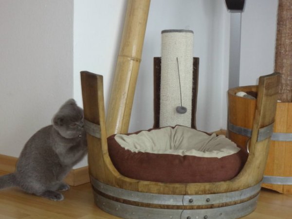 Tierliege TFL-E65-KB aus gebrauchtem Eichenfass für Katzen / Hunde ohne Kissen