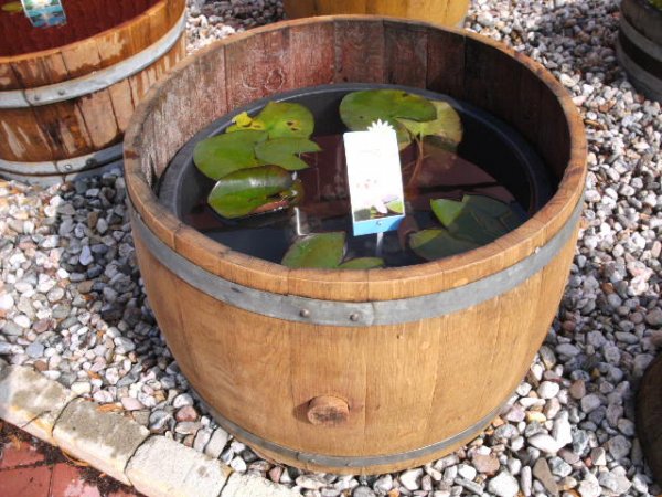 Baumstammumrandung mit PVC-Kübel innen, Pflanzenkübelumrandung, Hochbeet