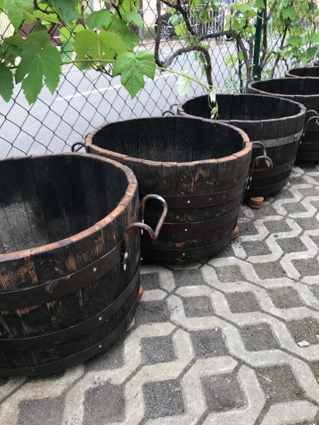 BKW60 ein 75 Liter Blumenkübel aus Whiskyfass D.oben 60 D.unten 55cm, H.38cm