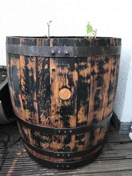 170 Liter Regentonne Blumenkübel Miniteich aus Whiskyfass abgeschliffenes Eichenfass Fassregentonne Holzfass