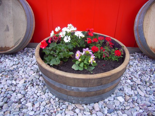 65 L Miniteich Pflantkübel dunkles Eichenholz Pflanzenschale Regentonne aus gebrauchtem Barrique Eichenfass, H.25,D.65cm