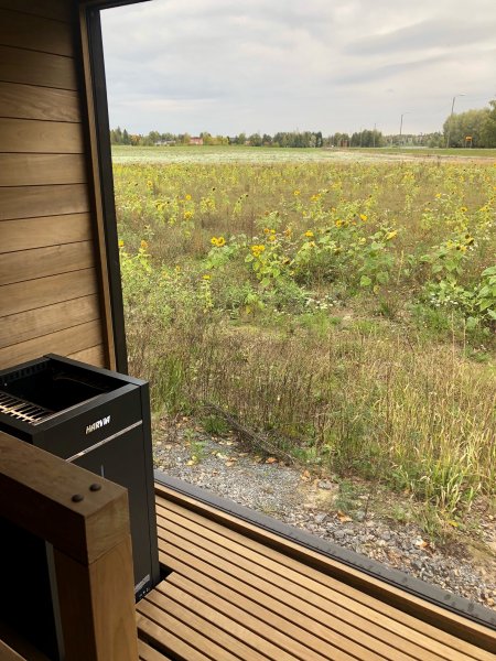 ORIGINAL FINVISON FinVision Nordic misty-Mirror Außensauna Gertensauna Holzsauna Sauna mit Elektro / Holzbefeuerung montiert