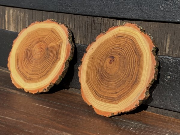 Rundes Spruch - Brett - Untersetzer optional mit Wunsch - Lasergravur auf Rundholz für jeden Anlaß als Glass - / Tassen - Untersetzer