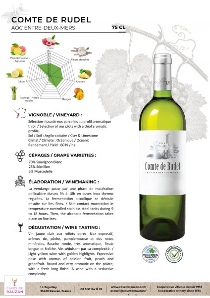 Cave de Rauzan Comte de Rudel 2020 - 60 x 0,75L Flaschen Weißwein AOC ENTRE-DEUX-MERS