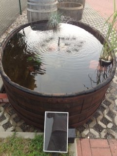 seltene 1200 Liter Eichenfasshälfte Durchmesser 230cm und Außen-Höhe 50cm, Innenhöhe 35cm.