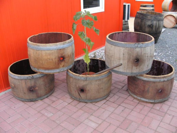 Baumstammumrandung, Pflanzenkübelumrandung, Hochbeet