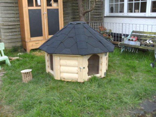 8 Eck Hasenhütte Hasenhaus Tierhaus Hasenkota Hasenstall Meerschweinchenstall