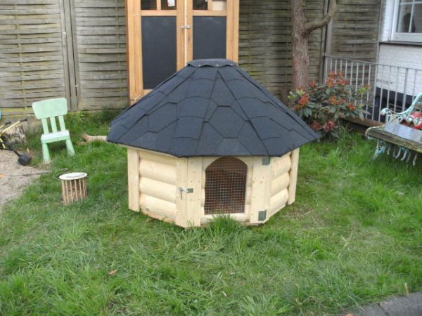 8 Eck Hasenhütte Hasenhaus Tierhaus Hasenkota Hasenstall Meerschweinchenstall