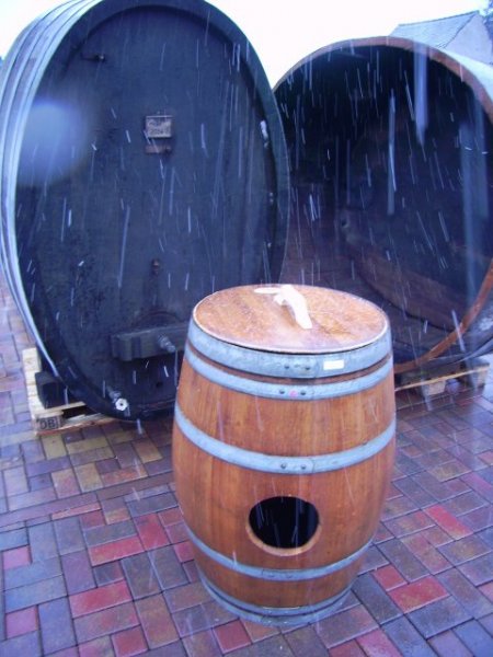 ARAHAUS ARAFASS PAPAGEIENHAUS PAPAGEIENHEIM VOGELHAUS VOGELHEIM