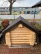 Hundehütte aus 16cm Rundbohlen Hundehaus Hundeschlafplatz Tierhaus Hundekota ein Haus für's Hundeleben