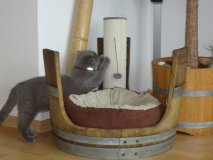 Tierliege TFL-E65-KB aus gebrauchtem Eichenfass für Katzen / Hunde ohne Kissen