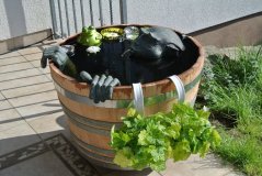 115L Miniteich Eichenfasshälfte mit D.70cm,H.45/47cm Blumenkübel mit Extraring