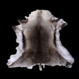 Renntierfell für alle Grillkotas, Jagthüten und Holzhütten